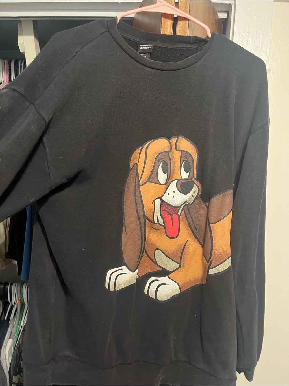 Fox and the hound Sweatshirt